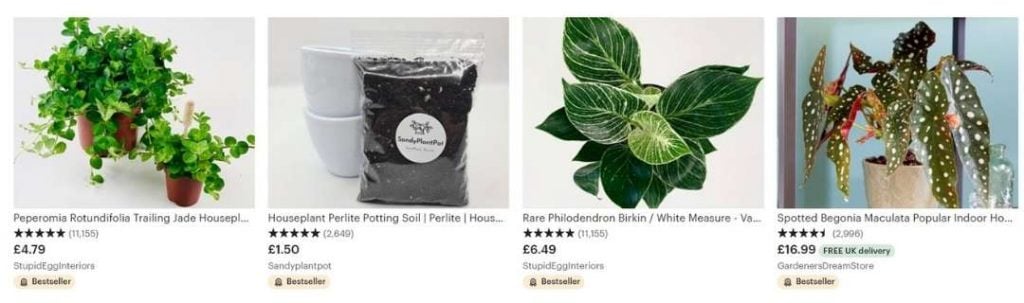 bestselling plants on Etsy