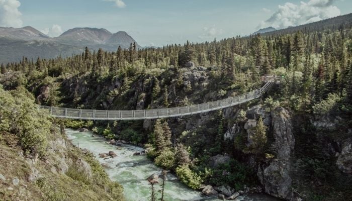 a suspension bridge across a clear lake