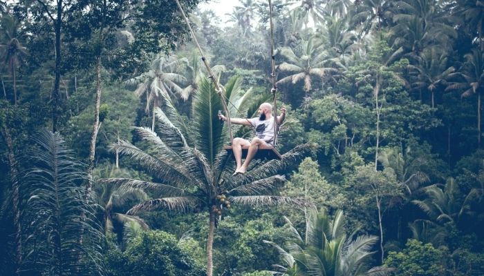 a man on an open swing in the jungle