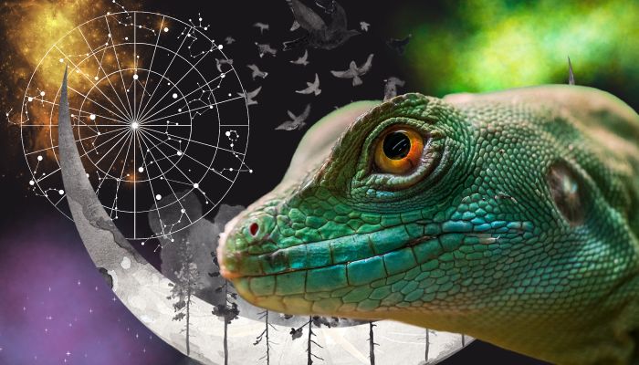 a dragon lizard on a black constellation background