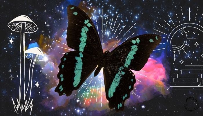 a black butterfly psychological meaning dreams