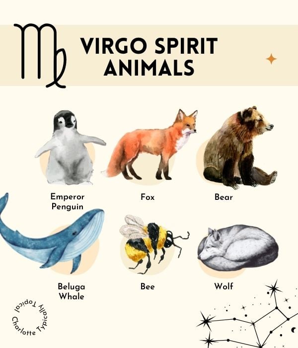 6 Virgo Spirit Animals That Perfectly Channel This Zodiac Sign