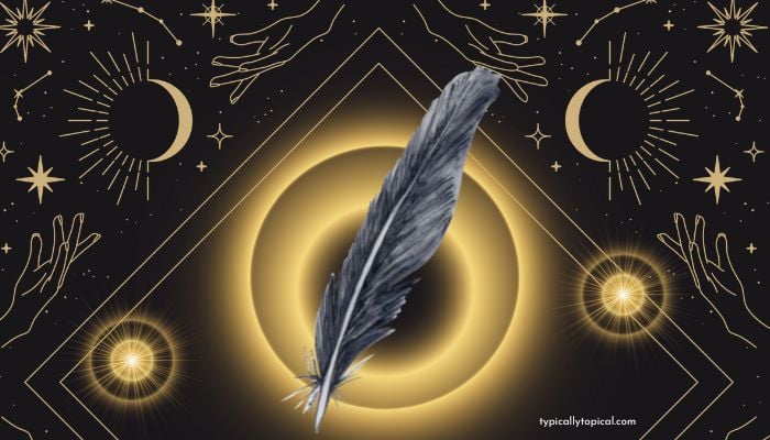 the meaning of seeing a black feather on a black background