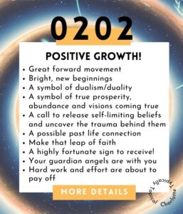 Angel Number 0202: 4 Amazing Reasons You're Seeing It!