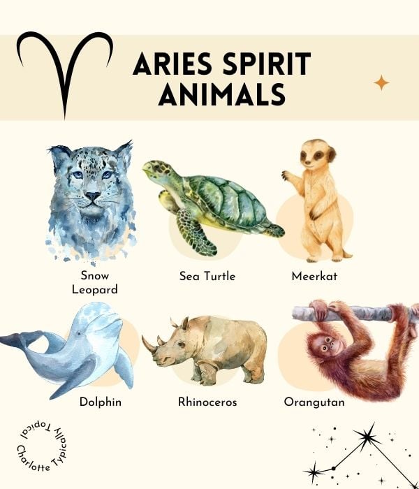 Aries Spirit Animals 6 Beautiful Guides & Protectors to Have by Your Side